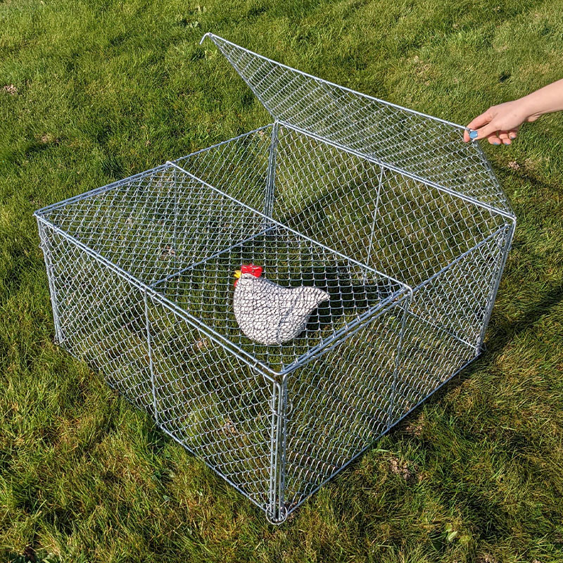 Cage métallique carrée sur l'herbe, couvercle supérieur ouvert par une main, avec un poulet décoratif à l'intérieur.