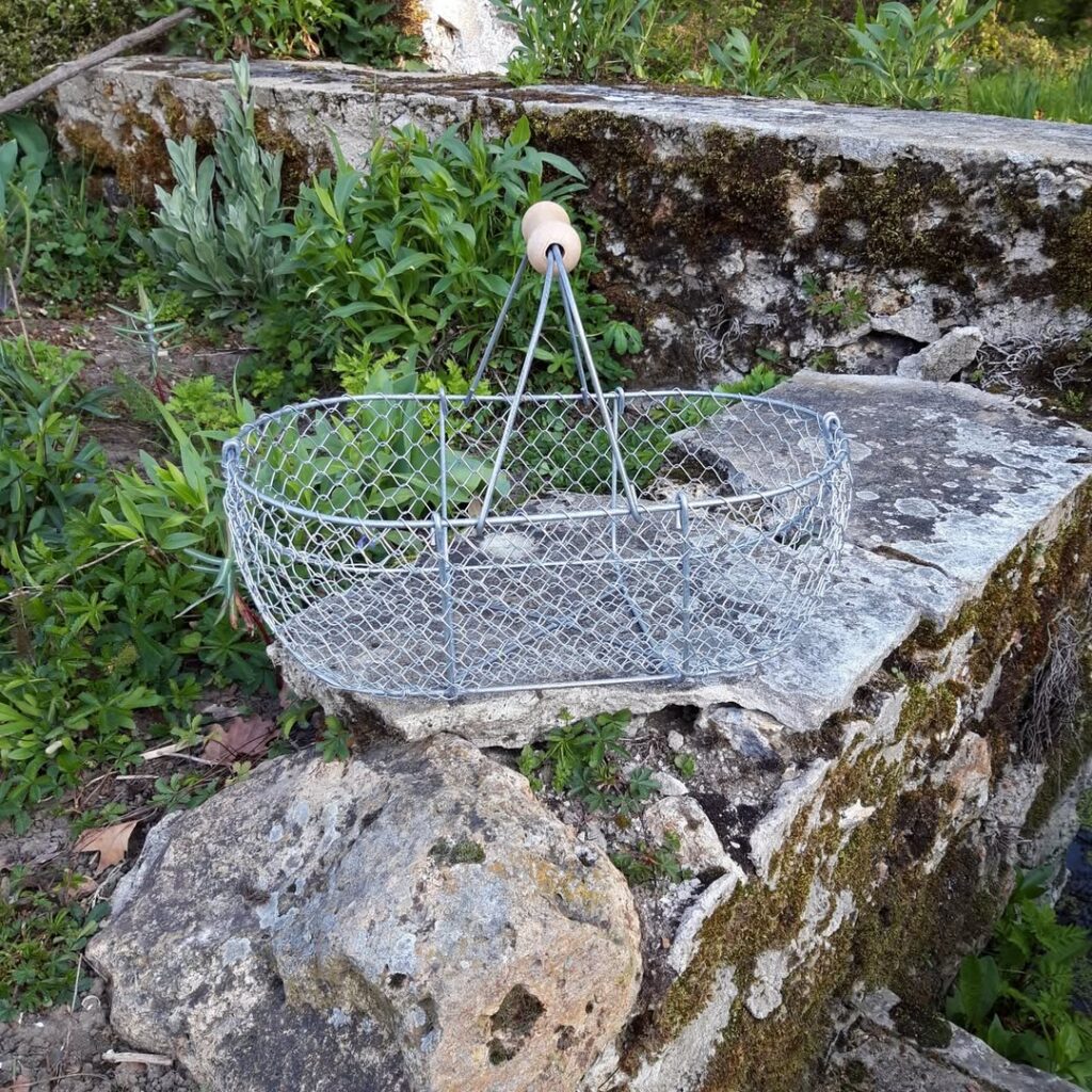 Panier vide ovale en maille métallique avec anse bois, posé sur des roches moussues dans un jardin luxuriant.